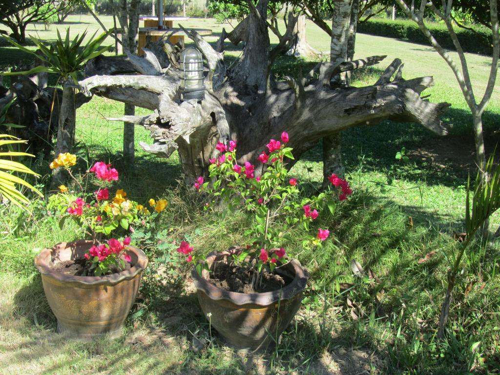 Orange Grove Resort Pai Luaran gambar