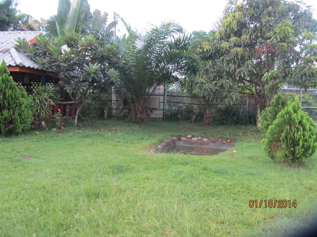 Orange Grove Resort Pai Luaran gambar